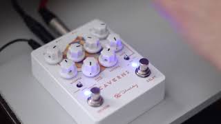 Keeley Caverns V2 Delay and Reverb pedal demonstration [upl. by Hassadah889]