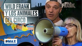 Wild Frank planta cara a los empleados de un circo  Wild Frank [upl. by Leinadnhoj390]