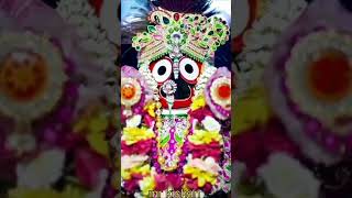 Haire mo chaka badana odia Jaganath bhajan [upl. by Nelia]