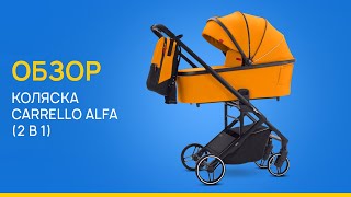 Обзор коляски Carrello Alfa 2 в 1  LEMI KIDS  Магазин детства [upl. by Lalita]