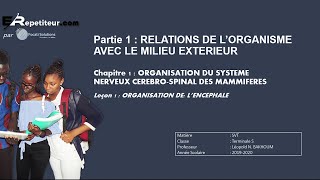 Organisation de lencéphale  Cours SVT Terminales  Erepetiteursn [upl. by Yffub]