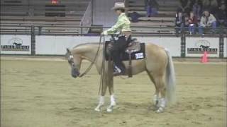 2007 Canadian Reining Breeders Classic  Shiners Q Chex  Nicole Brown [upl. by Tod]