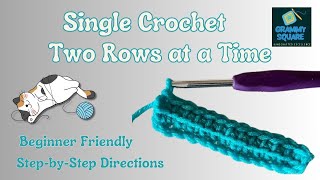 Single Crochet TWO Rows at Once [upl. by Duyne]