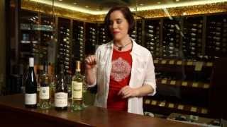 Riesling Sauvignon Blanc Chardonnay Pinot Grigio Pinot Gris  White Wine Guide [upl. by Asennav570]