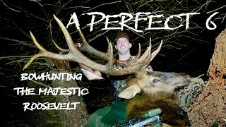 A Perfect 6 Bowhunting The Majestic Roosevelt HD [upl. by Marianna571]