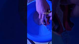 STINGRAY BARB REMOVAL  MY STINGRAY GOT CAUGHT IN A NET Stingray monsterfish aquariums aquatics [upl. by Sirret]