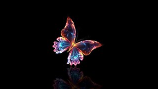 Butterfly effect black screen video  Butterfly flying animation black screen video [upl. by Ashatan]