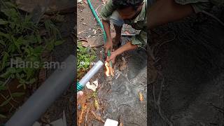 👨‍🔧Easy pipe jointing plumbingtrick plumbingwork electricalwork house plumbing [upl. by Ulah393]