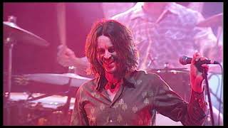 Powderfinger  These Days Live In Concert  A Vulture Street Film 20thanniversary [upl. by Werd]