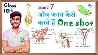 bihar board 12 biology chapter 1 2025जीवों में जनन one shotjivo me janan full revision one shot [upl. by Arerrac]