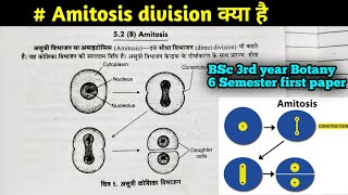 Amitosis Cell division कैसे होता है  BSc 3Rd year Botany 6th Semester first paper in Hindi [upl. by Anthiathia]