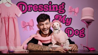 Dressing Niki my mad chihuahua she bites me😱  PT1 [upl. by Dannye]