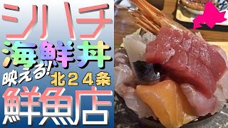 安い🐟映える！海鮮丼、大人気の北24条「シハチ鮮魚店」に行きました [upl. by Nathanson]