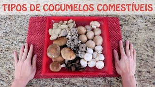 Tipos de Cogumelos Comestíveis [upl. by Arnaud]