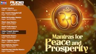 10 Mantras For Peace of Mind And Prosperity  Shiv Mantra  Shanti Mantra Chamunda Mantra [upl. by Sandra373]