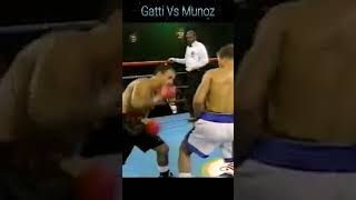 Arturo Gatti Vs Reyes Munoz boxing knockouts [upl. by Bruni]