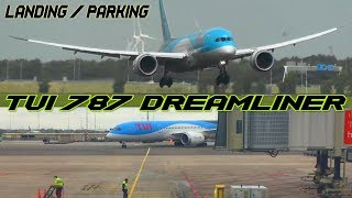 TUI Dreamliner 787 Landing amp Parking  Schiphol HD [upl. by Arinayed]