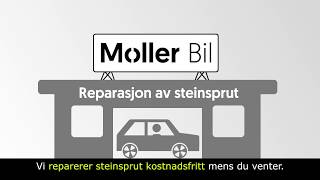 Møller Bil Steinsprut [upl. by Karlik222]