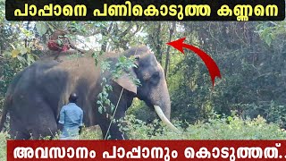 പാപ്പാനേ പണികൊടുത്ത കണ്ണനെ Thiruvambadi Kannan Elephant [upl. by Susannah331]