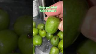 Have you tried Kiwi Berries  kiwiberries kiwiberry [upl. by Rollet]