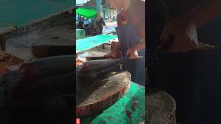 Keterampilan bang Adam memotong ikan beby tuna segar shorts fyp fishcutting ajibnariman food [upl. by Aistek871]