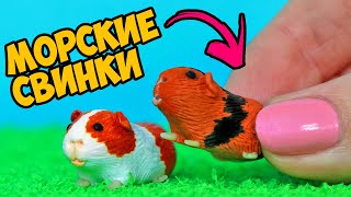 МОРСКИЕ СВИНКИ 🐹 Как слепить ПИТОМЦА из полимерной глины СВОИМИ РУКАМИ АННА ОСЬКИНА [upl. by Laverne]