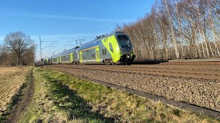 Rundgang im BR445 Twindexx Der NahSH In Hamburg Hbf [upl. by Iddet944]