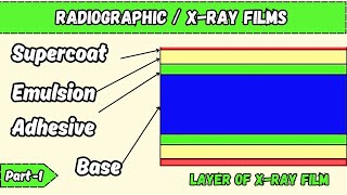 Radiographic  x Ray films l construction layers composition l Radiography simplified l [upl. by Amil]