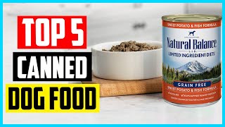 CESAR Adult Wet Dog Food Review and Buying Guide  Best Dog Food [upl. by Deva]