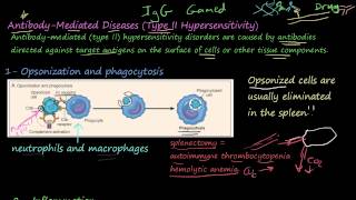 77P  AntibodyMediated Diseases Type II Hypersensitivity [upl. by Ettennan]