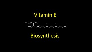 Vitamin E tocopherol Biosynthesis [upl. by Iy]