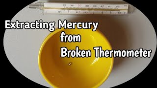 Extracting Mercury from Broken Thermometer 🌡  by Abijah  Exciting and satisfying [upl. by Trude67]