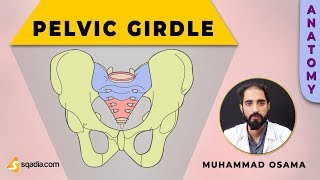 Pelvic Girdle  Sacroiliac Joint  InterOsseous Sacroiliac Ligament  Anatomy [upl. by Yand948]