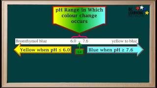 WCLN  Indicators  How They Work  Chemistry [upl. by Rolecnahc]