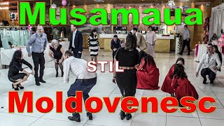 Musamaua in Stil Moldovenesc  Petru Ursache Evenimente [upl. by Abekam]