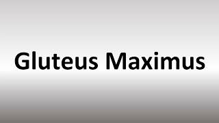 How to Pronounce Gluteus Maximus [upl. by Apfelstadt]