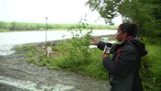 JEANERETTE LIVE STANDUP TREE DOWN ANNA FISCHER [upl. by Nod]