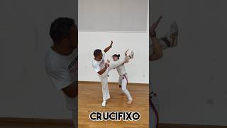 Capoeira 5 😳Quedas com a mão 🔥 capoeira [upl. by Saerdna]