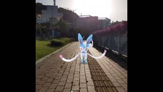 님피아  Sylveon  ニンフィア  仙子伊布 [upl. by Yerahcaz]