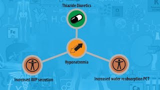 USMLE Prep  Renal amp Urinary  Thiazide diuretics  Adverse effects  Hyponatremia [upl. by Mossolb]