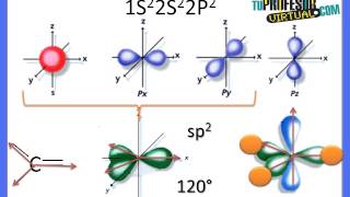 Hibridación de los Orbitales del Átomo de Carbono  Lección Teórica [upl. by Maude]