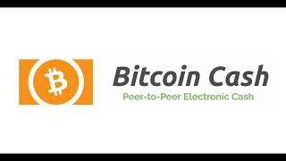 Recuperar los BCH Bitcoin Cash desde BitPay o CoPay [upl. by Norry780]