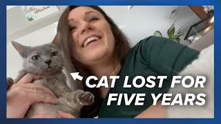 After five years a woman’s missing cat was found and returned home 🐱 [upl. by Eemiaj14]