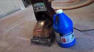 Cleaning my Carpets using Adams Flea and Tick Shampoo [upl. by Aerdnaed742]