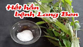 Hết hẳn bệnh lang ben tận gốc chỉ bằng 1 nắm lá rau răm [upl. by Eli]