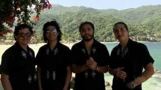 Puerto Vallartas very own Los Bambinos four brothers one beautiful sound [upl. by Ardnaid]