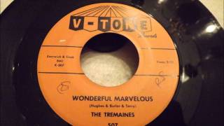 Tremaines  Wonderful Marvelous  Good Uptempo Doo Wop [upl. by Cook436]