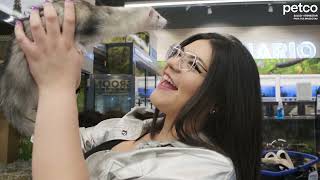 Petco México  ¡Acércate a Petco y convierte tu visita en toda una experiencia [upl. by Suivatra228]