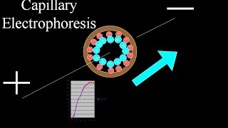 Capillary electrophoresis [upl. by Kayle]