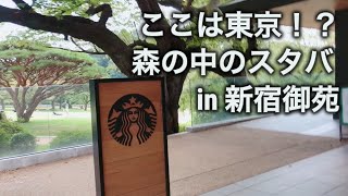 【新宿御苑】都会の緑を感じるスタバ！新宿御苑散歩 ランチのスパイスカレーもご紹介 [upl. by Anhsirk]